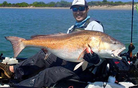 red drum fishing