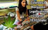 Marijuana Dispensary Jobs Pictures