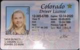 Colorado State Drivers License Pictures