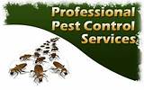 Images of All Garden State Pest Control