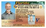 Florida Motorcycle License Handbook Photos