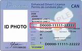 Pictures of Renew Your Driver''s License Online