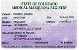 Images of How To Apply For Marijuana License