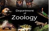 Zoology Degree Online Australia