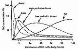 Pictures of Metabolism Recovery After Smoking