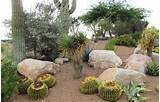 Pictures of How To Use Rocks For Landscaping