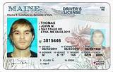 Lost License Maine Pictures