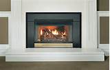 Napoleon Gas Fireplace Inserts Pictures