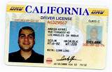 Occupational Business License Images