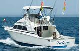 San Jose Del Cabo Fishing Charters Pictures