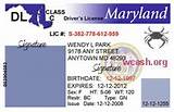 Photos of Verify Md License