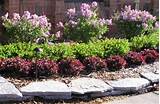 Pictures of Backyard Landscaping Shrubs