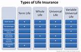 Images of Difference Between Term And Whole Life Insurance Policies