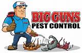 M&m Pest Control