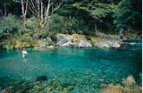 Pictures of Best Fly Fishing In New Zealand