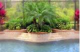 Cool Pool Landscaping Photos