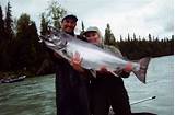 Salmon Fishing Kenai Peninsula Pictures