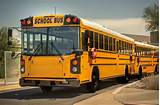 Images of Rent A School Bus And Driver