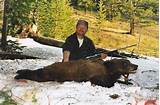 Pictures of Montana Bear Hunting Outfitters