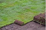 Photos of How To Install Sod