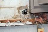 Pictures of Repair Underground Pvc Water Pipe