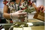 Jobs In Marijuana Industry Washington Images