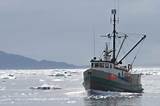 Photos of Commercial Fishing Boat