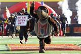 Photos of Maryland University Mascot