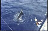 Images of Sport Fishing Kona Hawaii
