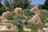 Xeriscape Landscape Design Colorado Images