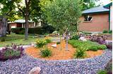 Xeriscape Front Yard Design Pictures