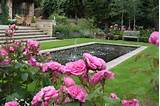 Pictures of Garden Designer Sheffield