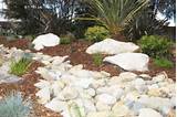 Pictures of Dry Landscaping Design