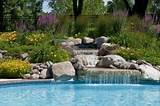 Florida Pool Landscaping Pictures Images