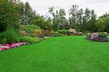 Pictures of Lawn And Landscape Design