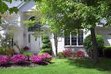 Front Yard Landscaping Guidelines