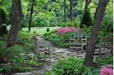 Garden Design Ideas For Shady Areas Pictures