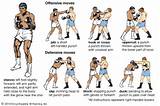 Photos of Types Of Fighting Styles