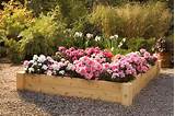 Best Soil For Raised Flower Beds Photos