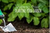 When To Start Planting Seeds For Your Garden