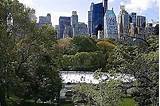 Landscape Architecture New York City