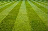 Photos of Perfect Cut Lawn And Landscaping