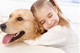 Pictures of Good Pet Insurance For Dogs