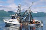 Fishing Boat For Sale Hawaii Pictures