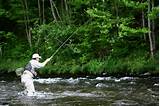 Japanese Trout Fishing