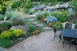 Images of Backyard Xeriscape Ideas