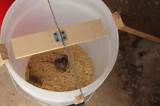 Five Gallon Bucket Mouse Trap Photos