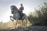 Horse Riding Images High Resolution Photos