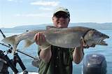 Flathead Lake Fishing Pictures