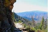 Hiking In Smoky Mountains National Park Images